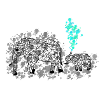 Elefantt GeomeTRIX