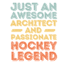 Architecte Hockey rétro