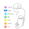 Chakra3