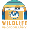 Wildlife Photography Animals Photographer Retro