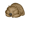 Wombat Wombats Plumbeutler Gift