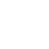 Trucker Shirt