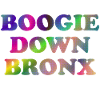 Boogie Down Bronx