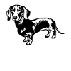 Teckel Silhouette Dachshund Dackel