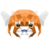 The Geometric Red Panda