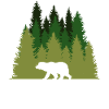 Faune Nature Animal Ours Extérieur