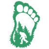 Bigfoot in the forest