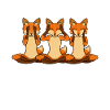 Three foxes at Reiki