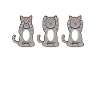 Three times cat at Reiki