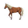 Drawing of a Haflinger