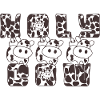 Holy Cow - Cows