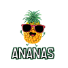 Karneval Kostüm Ananas