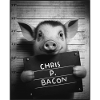 Pig Mugshot - Chris P. Bacon