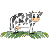 Cow