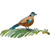 Oiseau