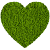 Moss Heart Nature Love