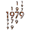 1979 Year