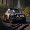 Rally car dirt road