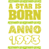 Year 1993