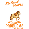 Shetland Pony Gift Shetty