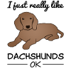 Dachshund Dog Lovers Citation Cadeau