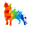 French Bulldog Splash Art