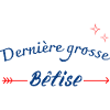 Dernière grosse bêtise