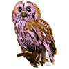 Pink Owl