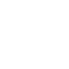 Evolution of Badminton