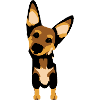 Mignon bébé chien