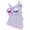 Katze mit Sonnenbrille