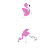 Yoga Flamingo inhale and exhale