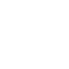 Acoustic Guitar Dog