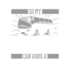 Bus Bus Driver Cat