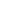Engine driver train driver cat