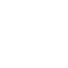Münsterländer