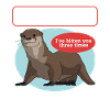 Otter Sea Otter Otter Gift