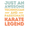 Technicien Karaté rétro