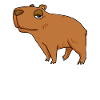 Capybara Capybara Cadeau