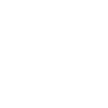 Newton's equation
