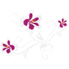Stylized pelargonium flowers