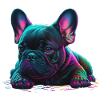 Français Bulldog Chiot