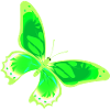 green butterfly