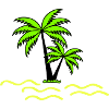 Palm trees