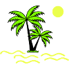 Palm trees