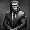 Gangster monkey in suit