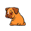 Garnix muss ich - Mops - Spruch