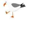 Moin Nodesee Möwe Norddeutsch