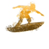 Surfing Surfing Surfboard Surfer