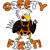 Safety First Eagle